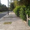 23 maggio 2011 Sabaudia: Il Verde è Vita